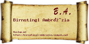 Birnstingl Ambrózia névjegykártya